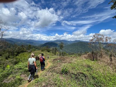 Trail in Costa Rica