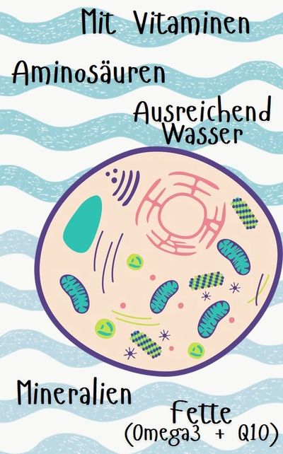 Illustration einer Zelle mit Nährstoffhinweisen auf Deutsch.