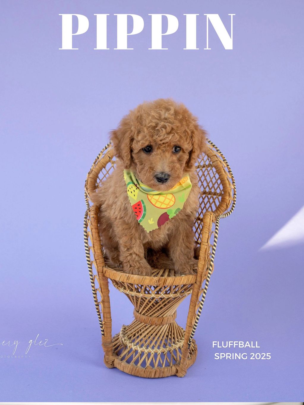 Pippin is 