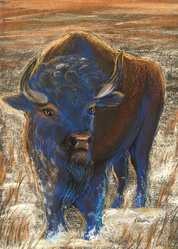 “Blue Buffalo”
Pastel on paper