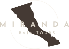 Bienvenidos a la mejor Agencia de Baja California