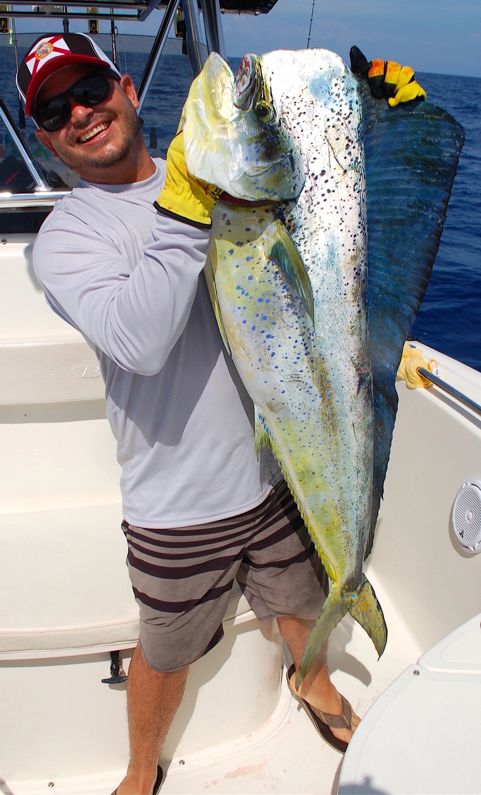 pound mahi mahi