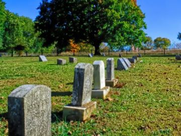 Old gravestones in a cemetery under clear blue sky.