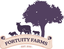 Fortuity Farms