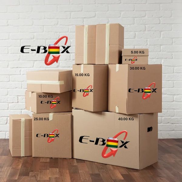 EBOX LOGISTICS USA LLC