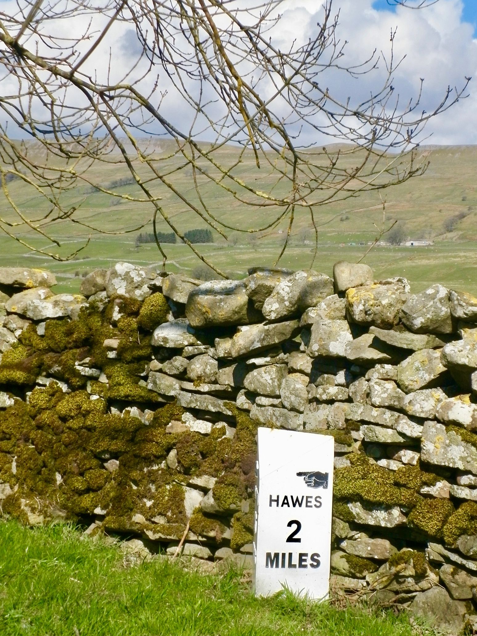 wensleydale