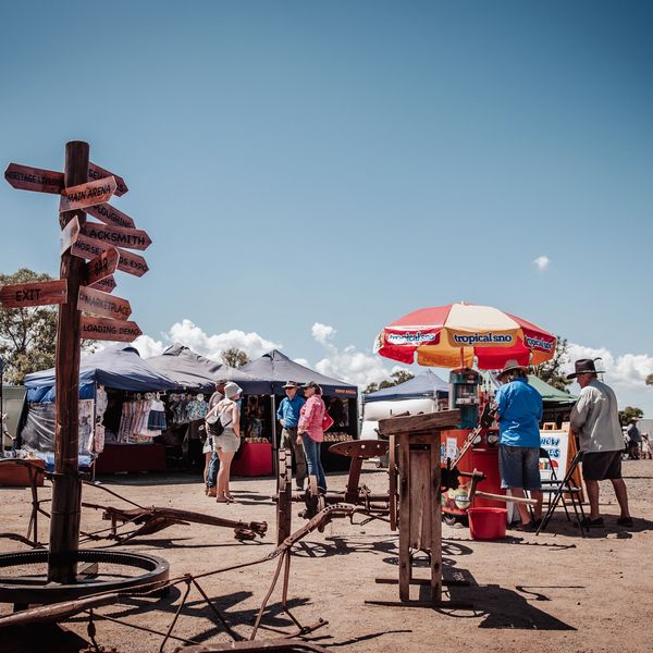 About Darling Downs Heavy Horse Festival