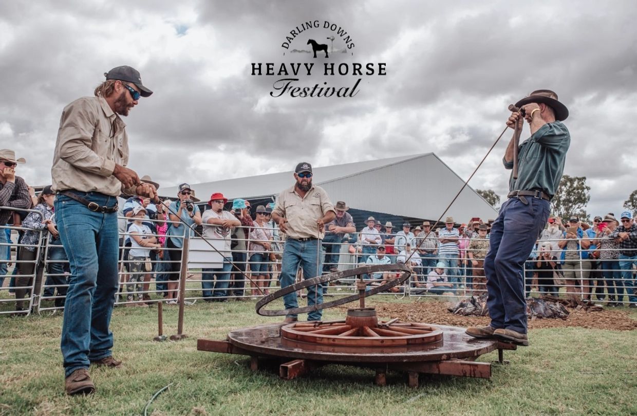 About Darling Downs Heavy Horse Festival