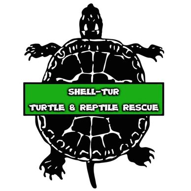 Shell-Tur Turtle and Reptile Rescue 