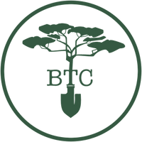 Big Trees of California