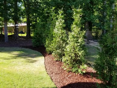 Privacy Trees
