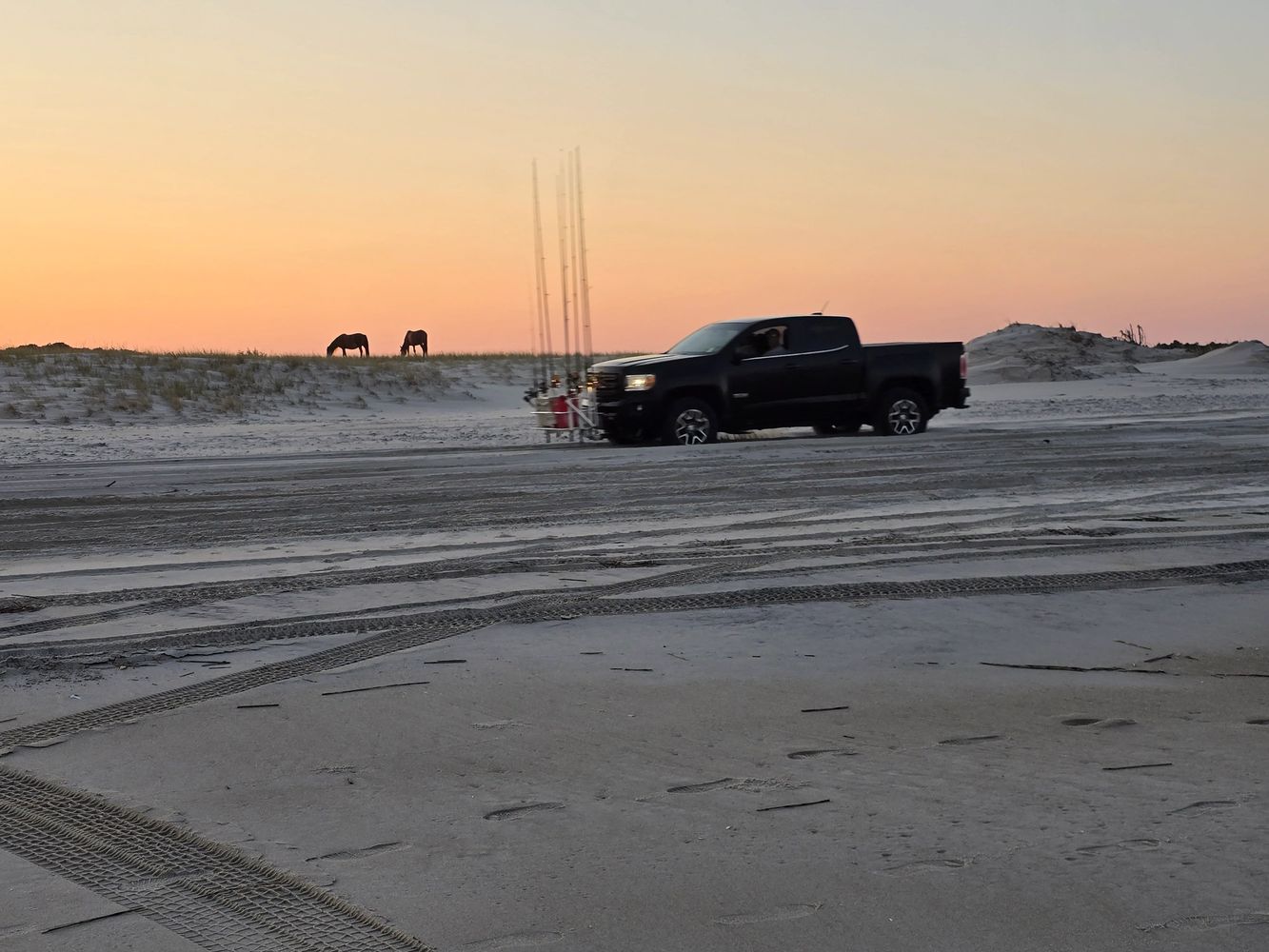 Driving on Assateague Island Maryland Beach, with the wild ponies