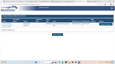 Screenshot of a business entity search result on SilverFlume website.
