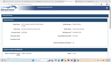 Screenshot of Silver Flume business entity information for Fifth Judicial District Adult Probation.