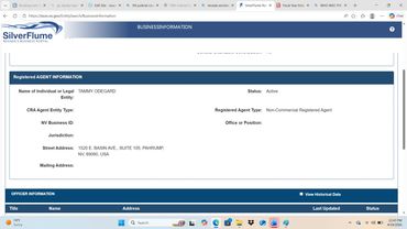Screenshot of SilverFlume business registration info for Tammy Odegard.