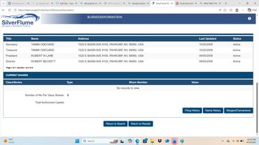 Screenshot of SilverFlume business information with active status and no current shares.