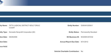 Document showing status of a judicial district adult drug nonprofit.