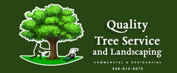 Quality Tree Service and Landscaping