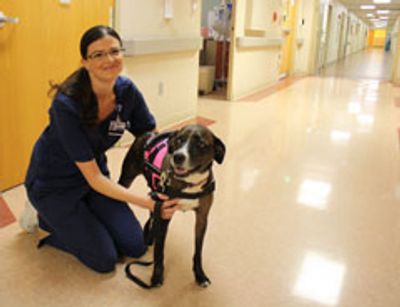 Jessie volunteering in a hospital setting, giving support to both the nurses and patients. 