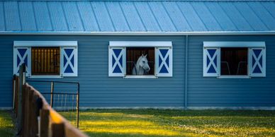 Brandy Creek Barn withhorse  in view