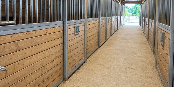 Empty horse stable corridor with wooden stalls.