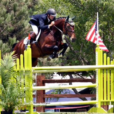 Horse and rider jumping over an obstacle at a show jumping event.