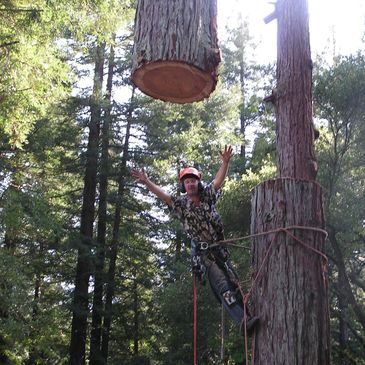 Lumberjack cutting a large tree segment midair.