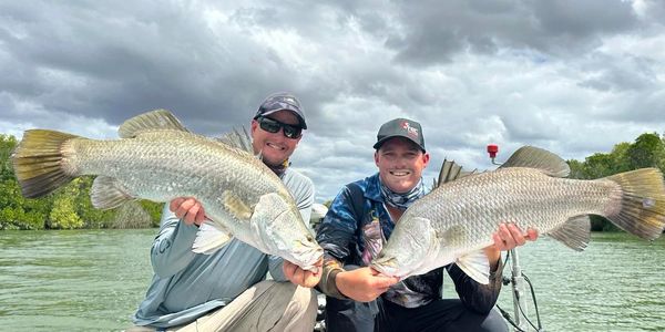 Cape York Barramundi