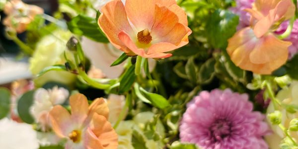 spring floral arrangement modern flowers luxury butterfly ranunculus