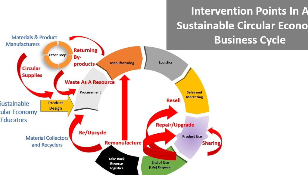 Diagram of potential intervention points in a sustainable circular economy business cycle.