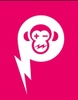 Monkey Junction Electric