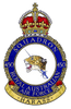 No. 450 Squadron RAAF