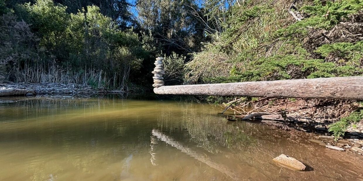 Stacked stones on a fallen tree over a calm river.