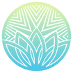 Psychedelics Studies Institute 