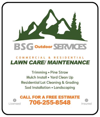 lawm care and landscaping winder bsg outdoor service Winder