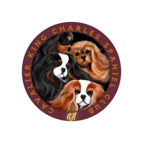 Cavalier King Charles Spaniel Club