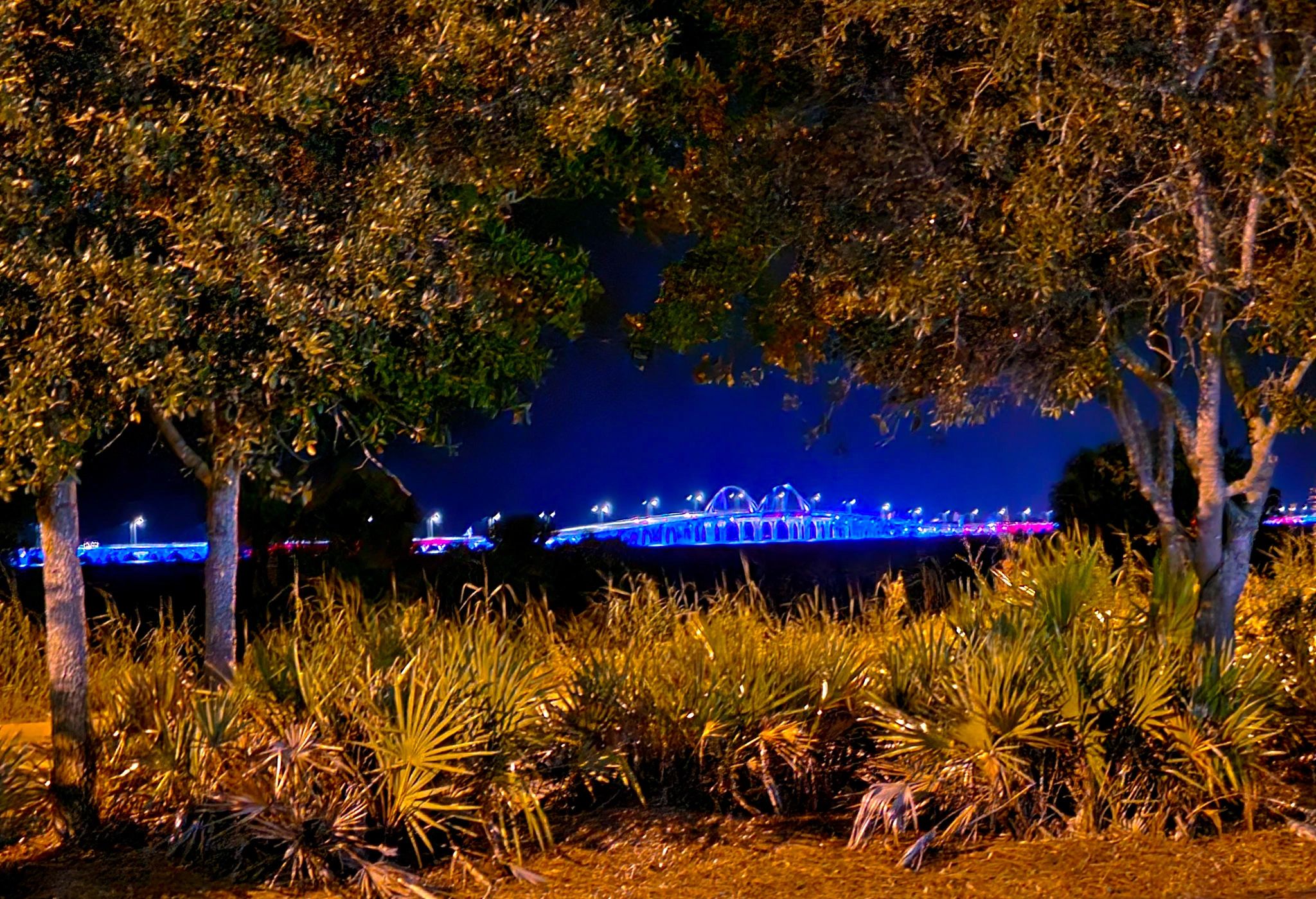 Bay Bridge - Memorial View