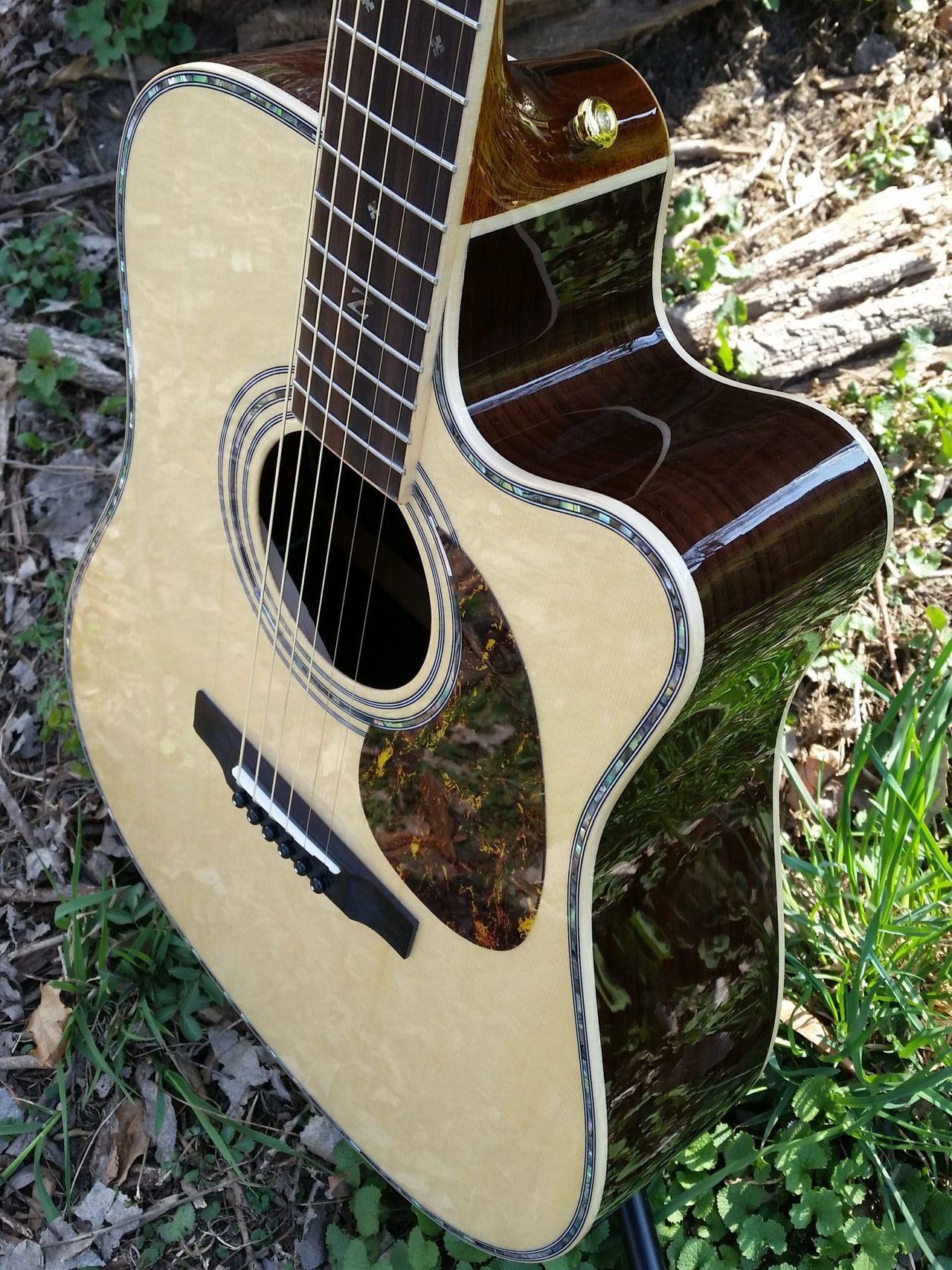 Zager guitars to convey the best guitar warranties