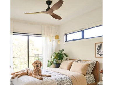 Ceiling Fan Installation