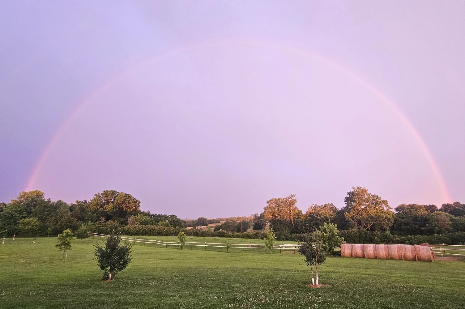 Park scene under a purple-pink sky with a faint rainbow.
