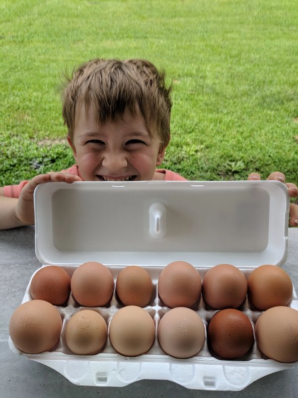 We have eggs for sale.