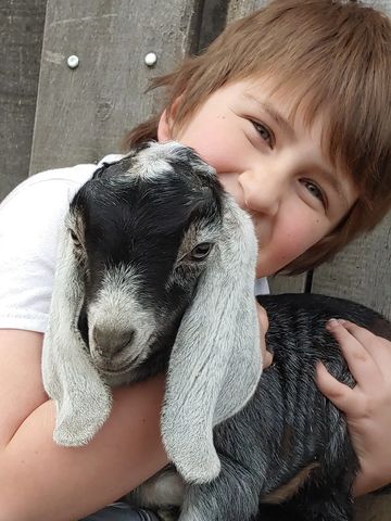 We love our kids; human and goats.