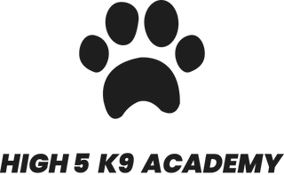 High 5 K-9 Academy