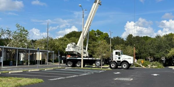 Crane assisted tree removal at local Pinellas county school. 
