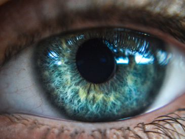 Close-up of a detailed blue-green human eye.
