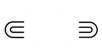 CAMERA CAT