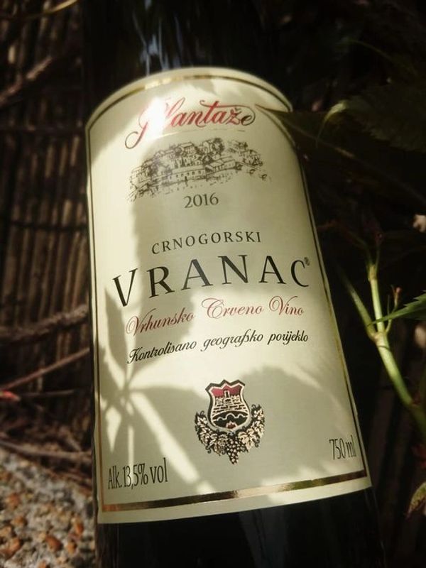 Plantaze Vranac Merlot Montenegro at No Fuss Just Wines - Buy Wine Online & Wine Auction