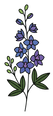 LARKSPUR MENTAL WELLNESS