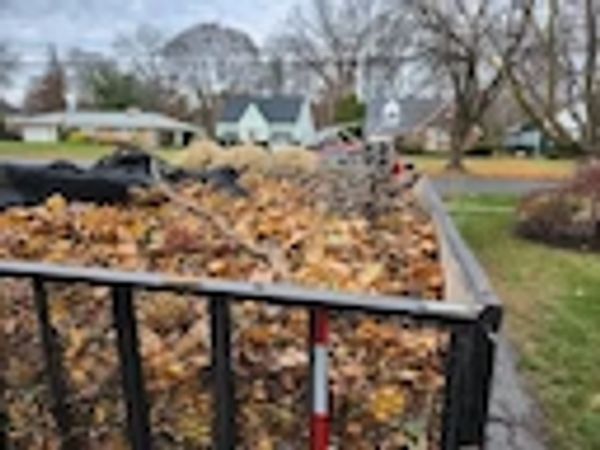Pile of leaves in trailer