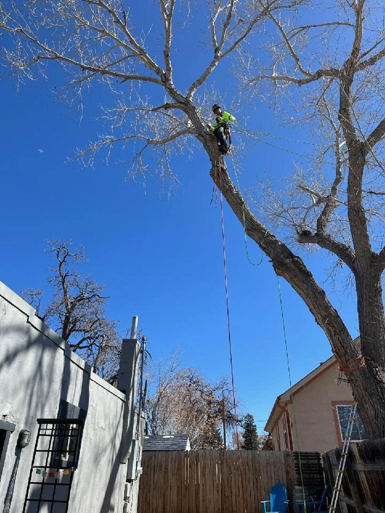 Summit Tree Service, Inc. Tree Service / Removal, Fire Mitigation